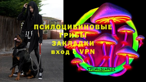 a pvp Алексеевка