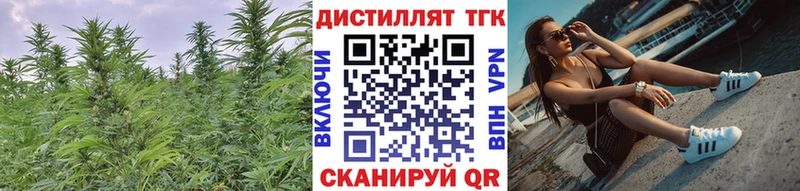 где купить   darknet Telegram  Дистиллят ТГК жижа  Махачкала 
